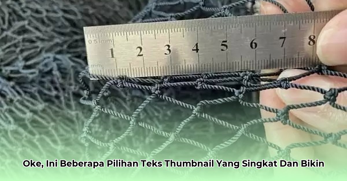 net-worth-of-rita-wilson